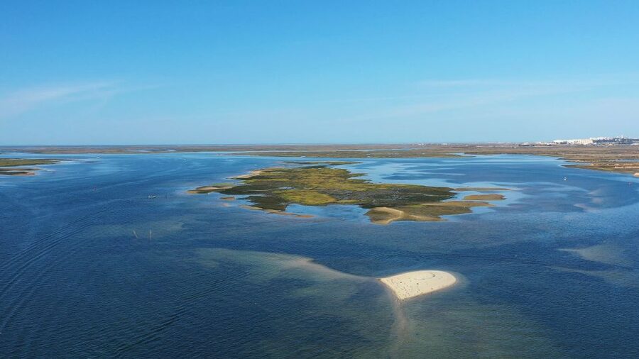 Olhão: Ria Formosa National Park and Islands Boat Cruise - What the $35 price really covers
