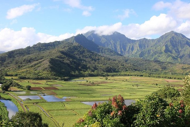 One-Day Tour Hawaii Movie Tour: Island Hopping from Oahu to Kauai - Why this Kauai movie tour works as a day trip