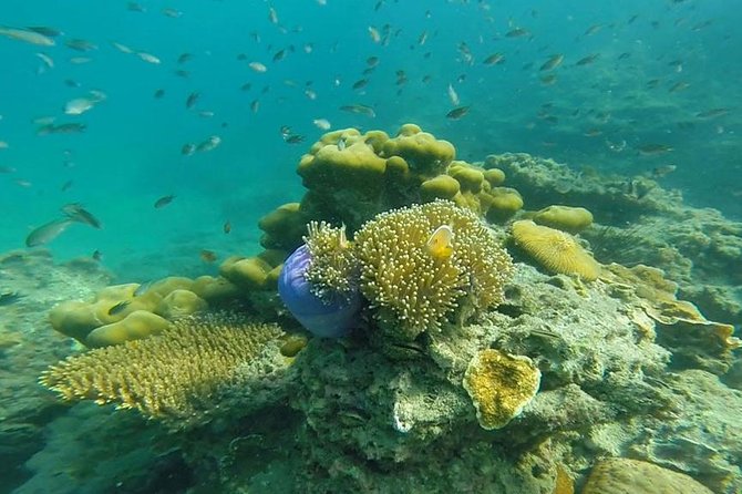 Oneday Tour 4 Islands and Emerald Cave By Tin Adventure Sea Tour from Koh Lanta - Key points to know before booking