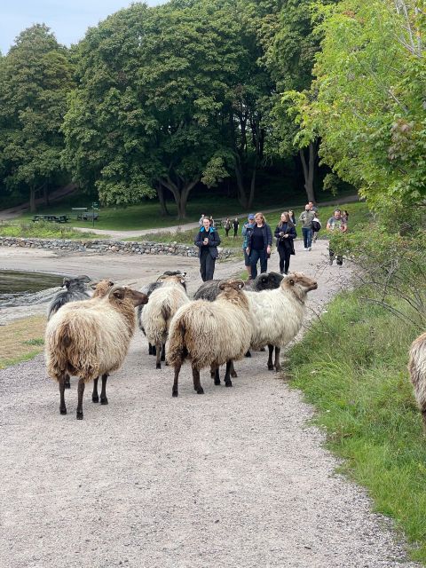 Oslo Island Walks: Island Hopping Tour - Gressholmen: a quieter side of the fjord