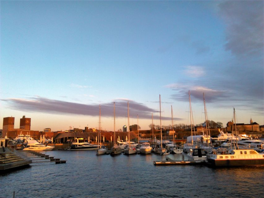 Oslo Nature Walks: Island Hopping Tour - Hovedøya: abbey ruins, beaches, and old cannons