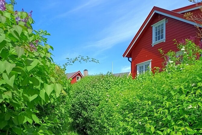 Oslofjord Island Hopping Tour - Quick points to know before booking