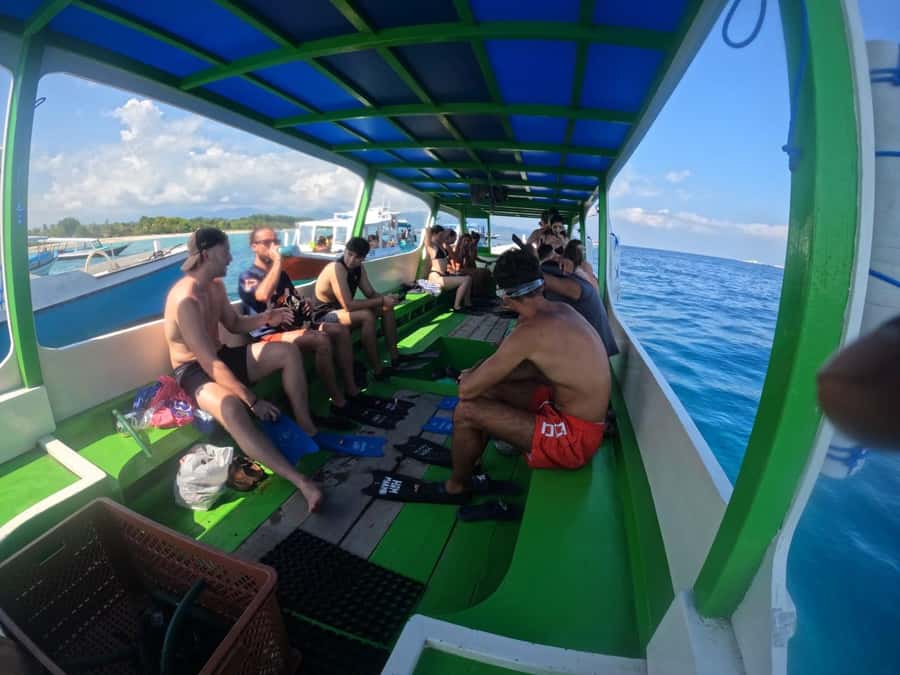 Ozzy Snorkeling 3 Islands Visit Baby Turtles - What to pack for a smoother morning