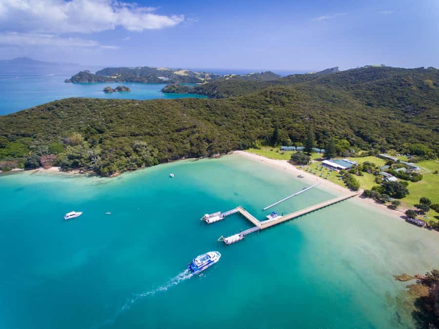 Paihia/Russell: Hole in the Rock and Bay of Islands Cruise - Seeing dolphins and other marine life