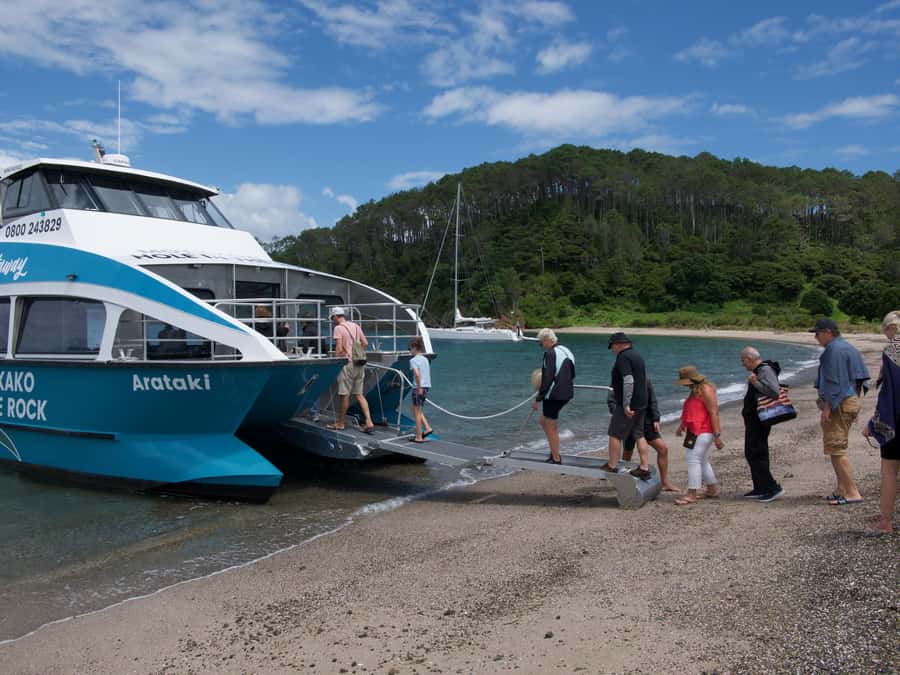 Paihia/Russell: Hole in the Rock Cruise with 2 Island Stops - Why this Bay of Islands cruise is more than a rock photo
