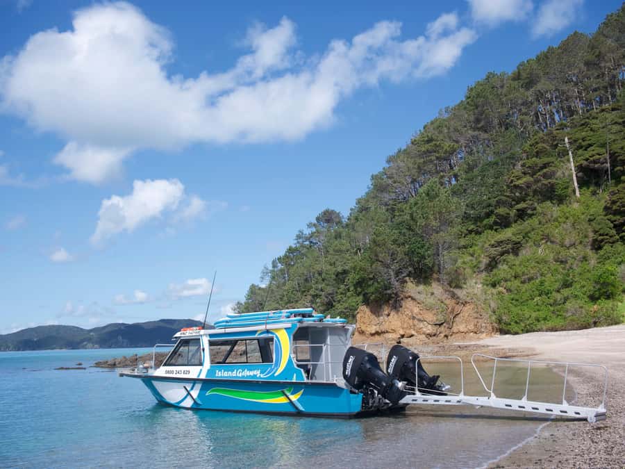 Paihia/Russell: Hole in the Rock Cruise with 2 Island Stops - Urupukapuka Island: the most active stop