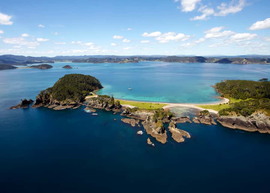 Paihia/Russell: Hole in the Rock Cruise with 2 Island Stops - Wildlife: a welcome bonus, not a promise