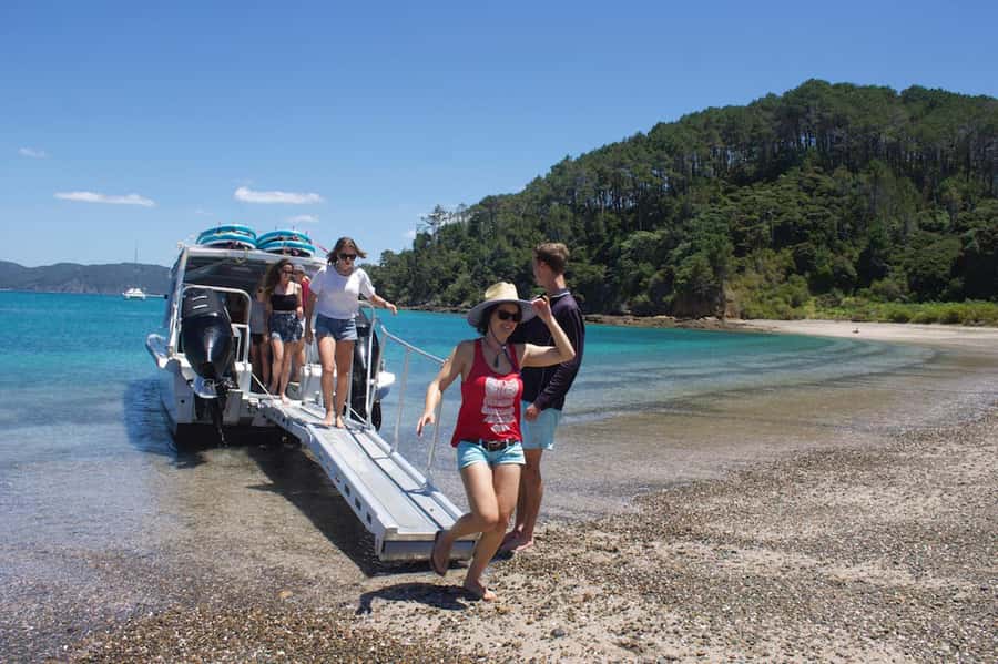 Paihia/Russell: Hole in the Rock Cruise with 2 Island Stops - Is $90 good value for 4.5 hours?