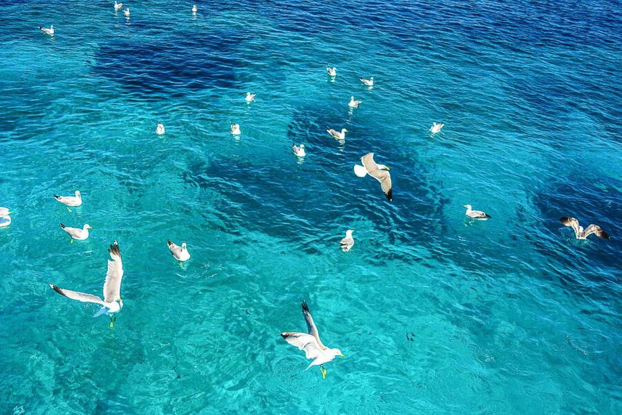 Palau: La Maddalena Archipelago and Caprera Island Boat Tour - Starting from Palau or La Maddalena