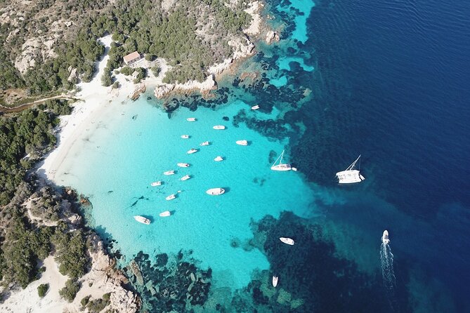 Palau or La Maddalena: 4-hour RIB tour of the archipelago - Spargi: Your Best Chance for Beach Time