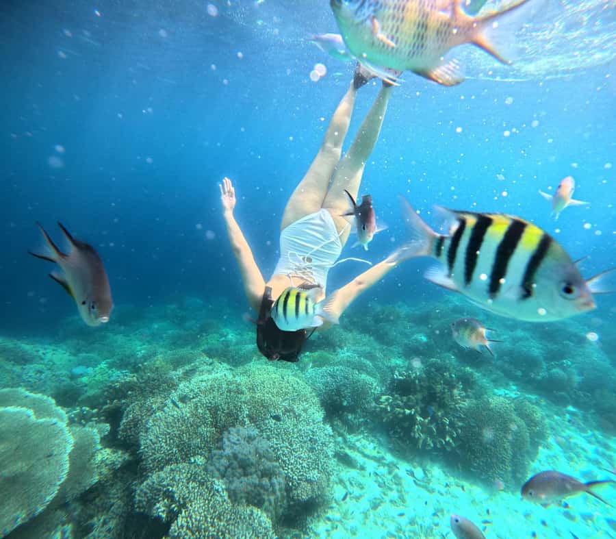 Panglao: Island Hopping w/Balicasag (Shared) - Why this five-hour Panglao trip is worth considering