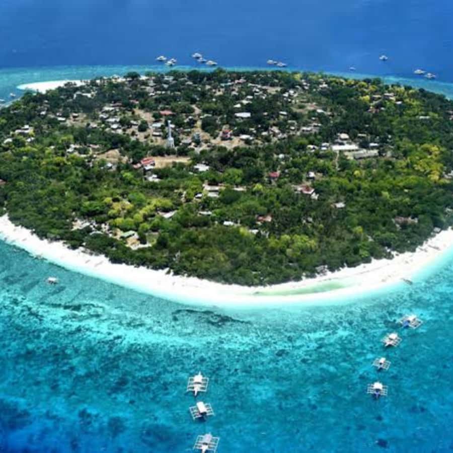 Panglao: Island Hopping w/Balicasag (Shared) - What the guide and shared boat add