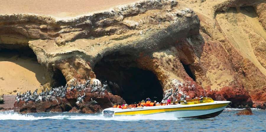Paracas: Ballestas Islands Boat tour - Islas Ballestas - Why the Ballestas Islands are worth your morning