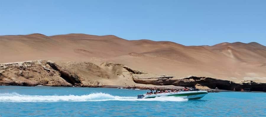 Paracas: speedboat BALLESTAS ISLANDS TOUR - Key details before you book