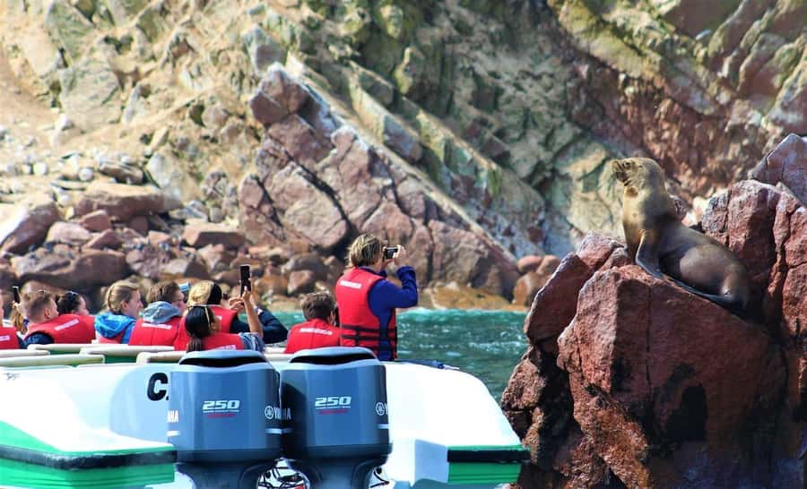 Paracas: speedboat BALLESTAS ISLANDS TOUR - The speedboat ride across Paracas Bay