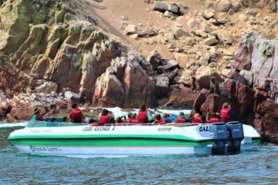 Paracas: speedboat BALLESTAS ISLANDS TOUR