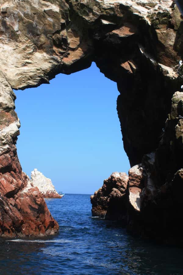 Paracas: speedboat BALLESTAS ISLANDS TOUR - Birds, penguins, sea lions, and dolphins