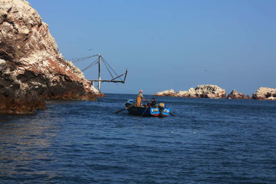 Paracas: speedboat BALLESTAS ISLANDS TOUR - Who will enjoy this trip most