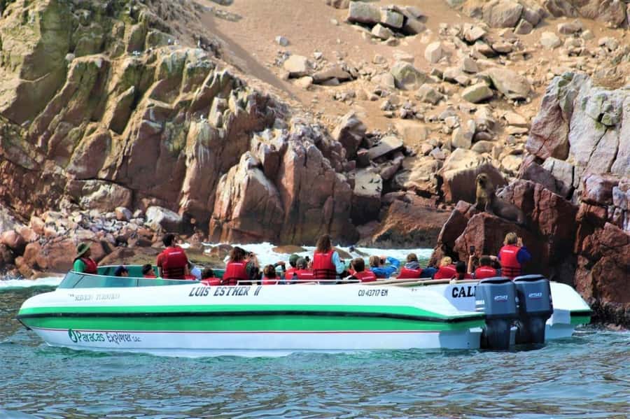 Paracas: speedboat BALLESTAS ISLANDS TOUR - Starting at Plaza El Chaco