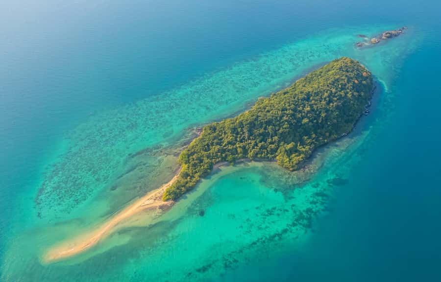 Pattaya: 3 Islands Day Tour on Catamaran with Buffet Lunch - Monkey Island: a memorable, carefully managed finish