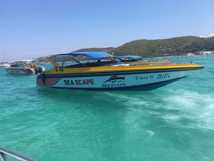 Pattaya: Private Speedboat to Coral Islands Cruise - Key points to know before you book