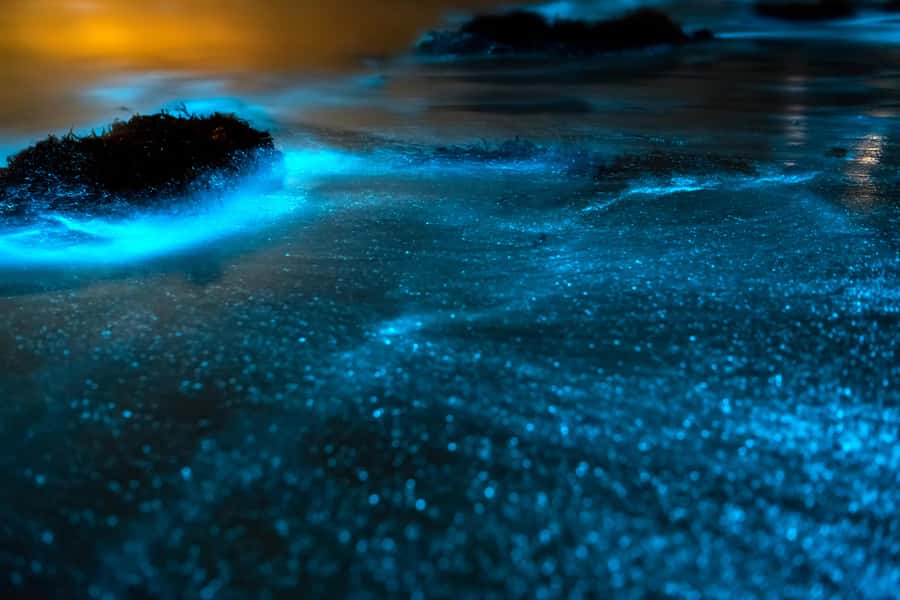 Phi Phi & 4 Islands Sunset tour + Bioluminescent Planktons - Key points before you book