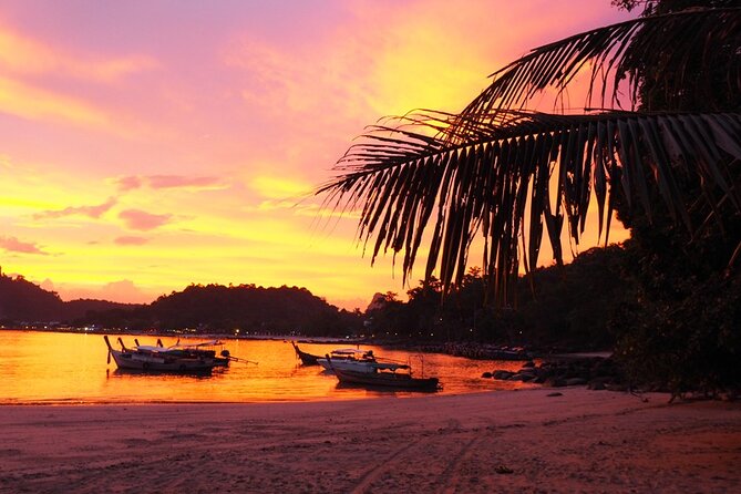 Phi Phi 4 Islands Sunset Tour with Bioluminescent Plankton - Monkey Beach and the limits of wildlife viewing