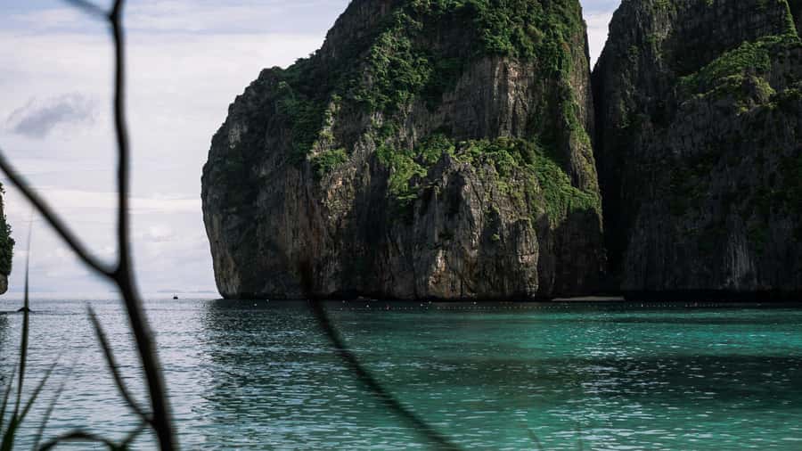 Phi Phi: Exclusive Full Day Longtail Boat to 7 Islands - Shark Point and the marine life