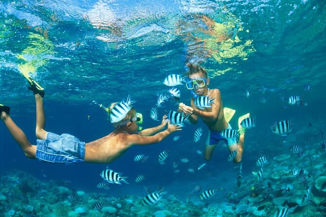 Phi Phi Islands Day Tour from Khaolak - From Khaolak Minibus to the Pier