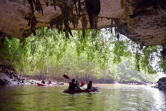 Phi Phi, Maya and Bamboo Islands Day Tour by Speedboat in Krabi - Monkey Beach: wildlife viewing with limits