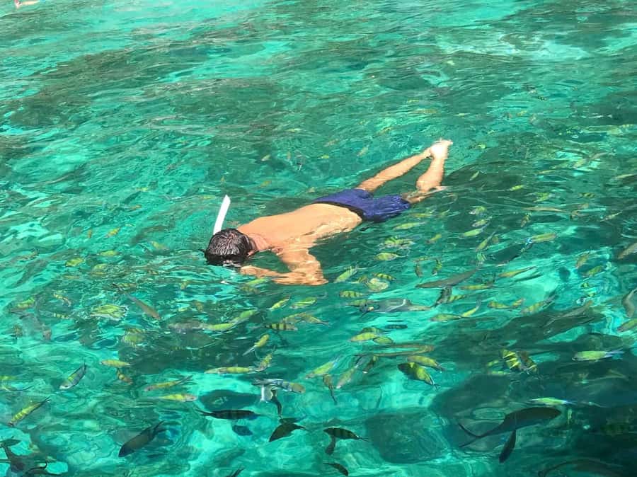 Phi Phi: Private 7 Islands Longtail to Maya Bay and Bamboo - Why this private Phi Phi route works