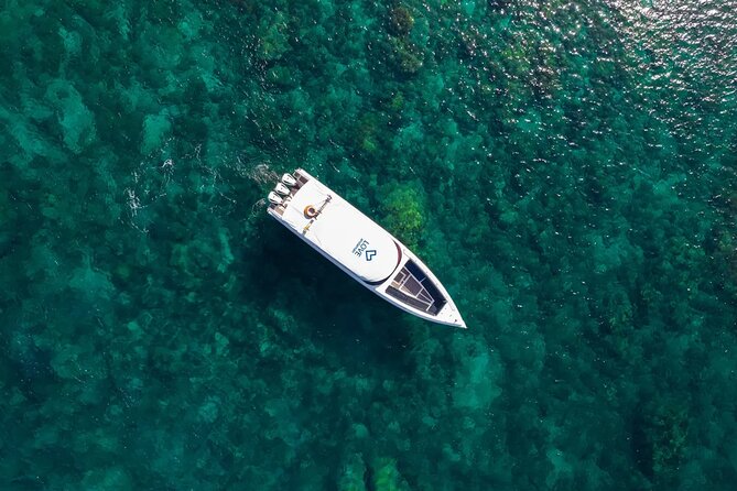Phi Phi Speedboat Day Trip: Maya Bay, Bamboo & Seaview Lunch - Viking Cave and Monkey Beach from the boat