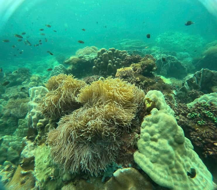 Phu Quoc: Snorkeling and Island Hopping by Speedboat & Lunch - Lunch Near Mong Tay or May Rut Trong