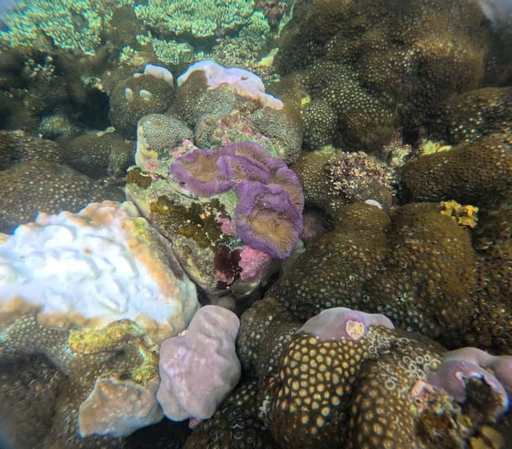Phu Quoc: Snorkeling and Island Hopping by Speedboat & Lunch - Should You Book This Phu Quoc Tour?