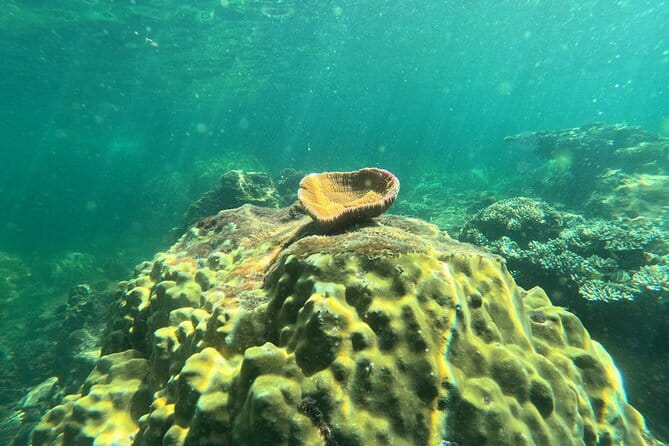 Phu Quoc: Snorkeling and Island Hopping By Speedboat with Lunch - 8:30 pickup and the ride to An Thoi