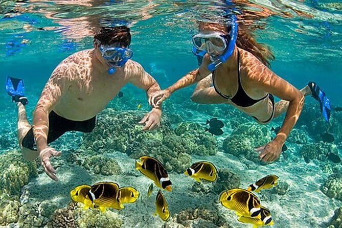 Phu Quoc: Snorkeling and Island Hopping By Speedboat with Lunch - Gam Ghi Island: the main snorkeling focus