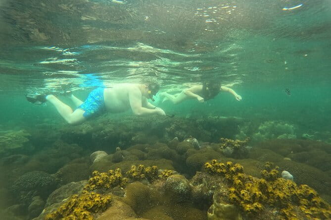 Phu Quoc: Snorkeling and Island Hopping By Speedboat with Lunch - May Rut Island: swimming, photos, and free time