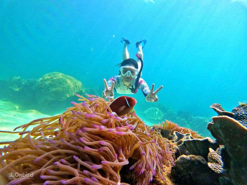 Phu Quoc: Speed Boat Tour 4 Islands - 2 Reefs Snorkeling - A six-hour morning or afternoon on the water