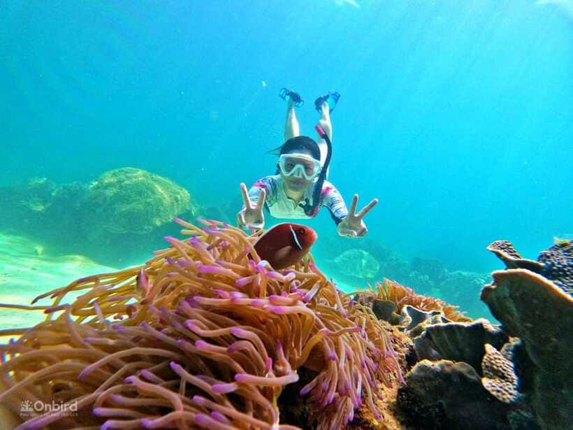 Phu Quoc: Speed Boat Tour 4 Islands - 2 Reefs Snorkeling - Second reef: more time to look closely