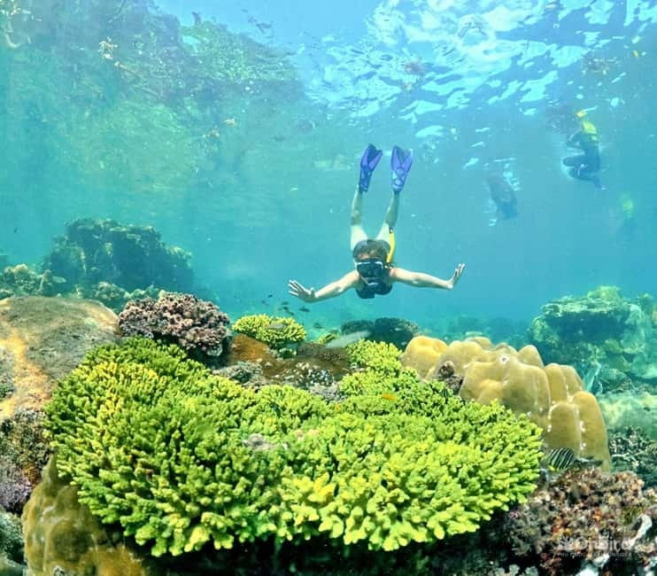Phu Quoc Speedboat Pro Snorkeling: 4 Islands-2 Reefs & Meal - Equipment, instructors, and safety