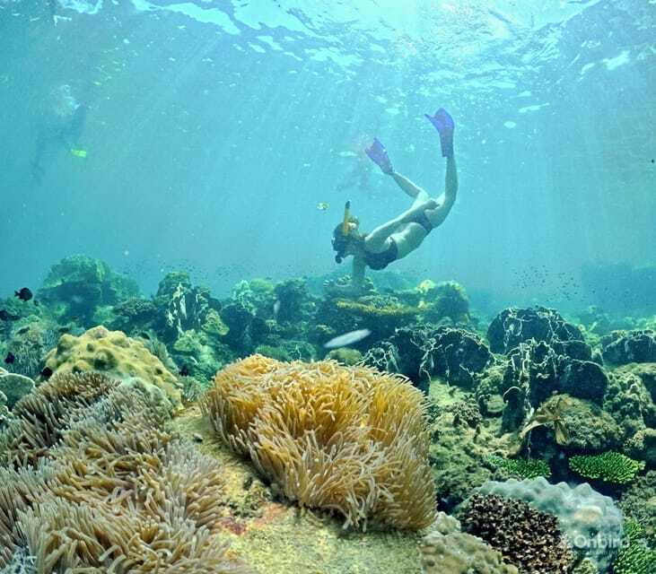 Phu Quoc Speedboat Pro Snorkeling: 4 Islands-2 Reefs & Meal - Transport and the real cost