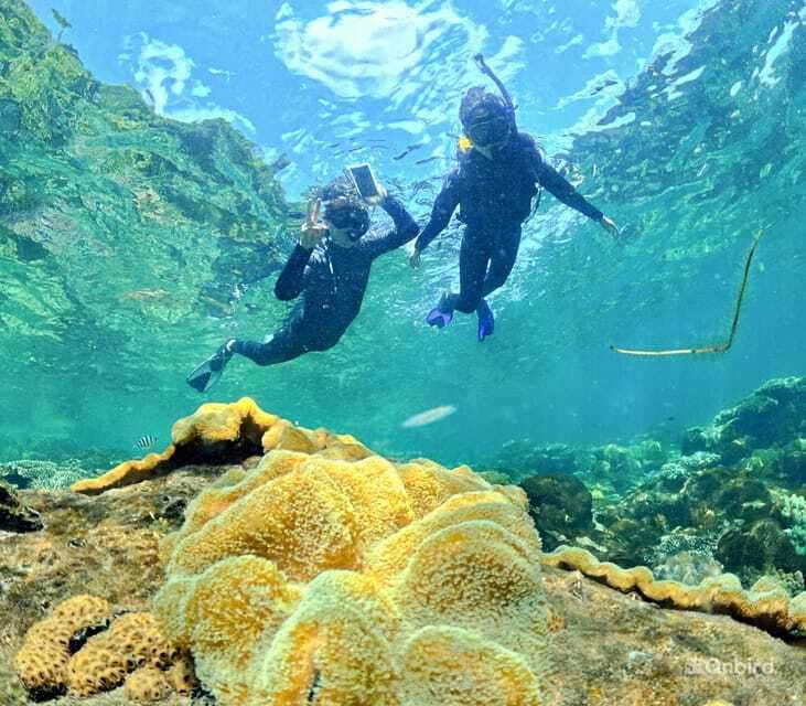 Phu Quoc Speedboat Pro Snorkeling: 4 Islands-2 Reefs & Meal - Should you book the Phu Quoc Speedboat Pro Snorkeling tour?