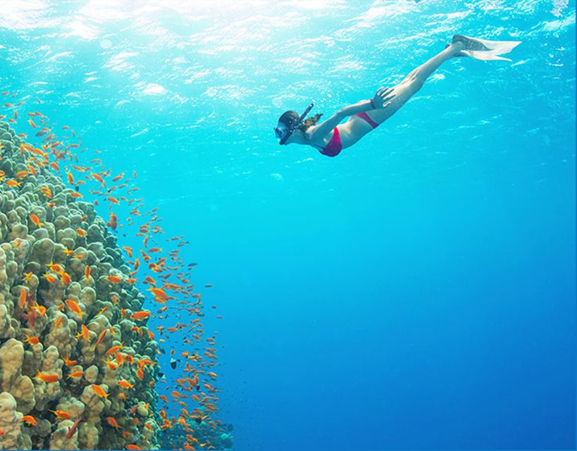Phu Quoc: Speedboat Tour of 4 Islands with Snorkeling & BBQ - Kim Quy Island starts the snorkeling