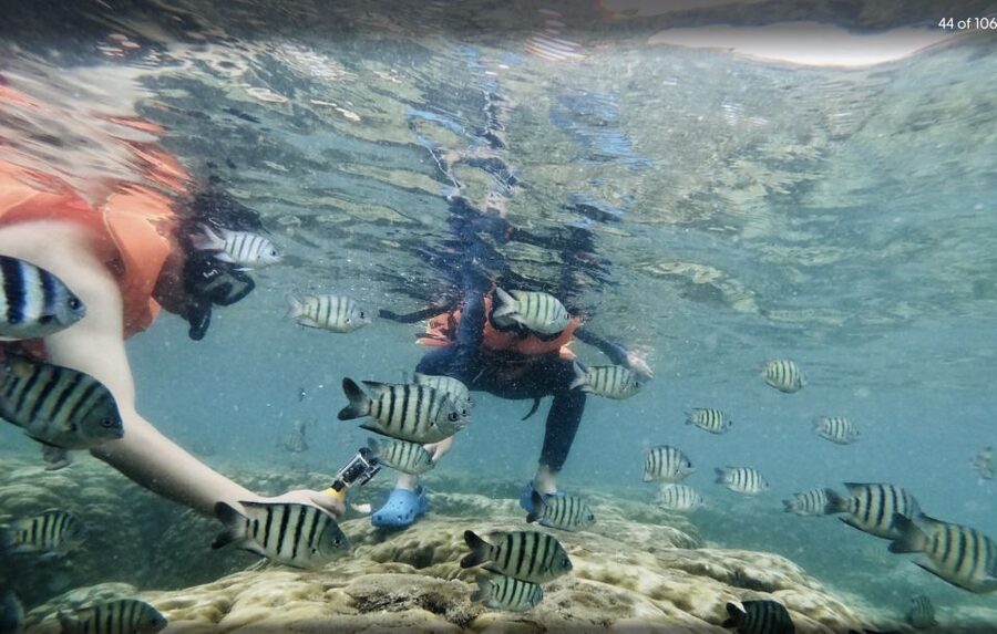 Phu Quoc: Speedboat Tour of 4 Islands with Snorkeling & BBQ - What the weather and water can change