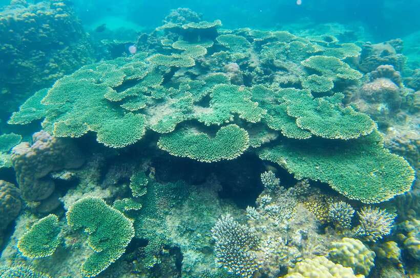 Phu Quoc Speedboat Trip: 3 Islands By Speedboat - The practical verdict for Phu Quoc