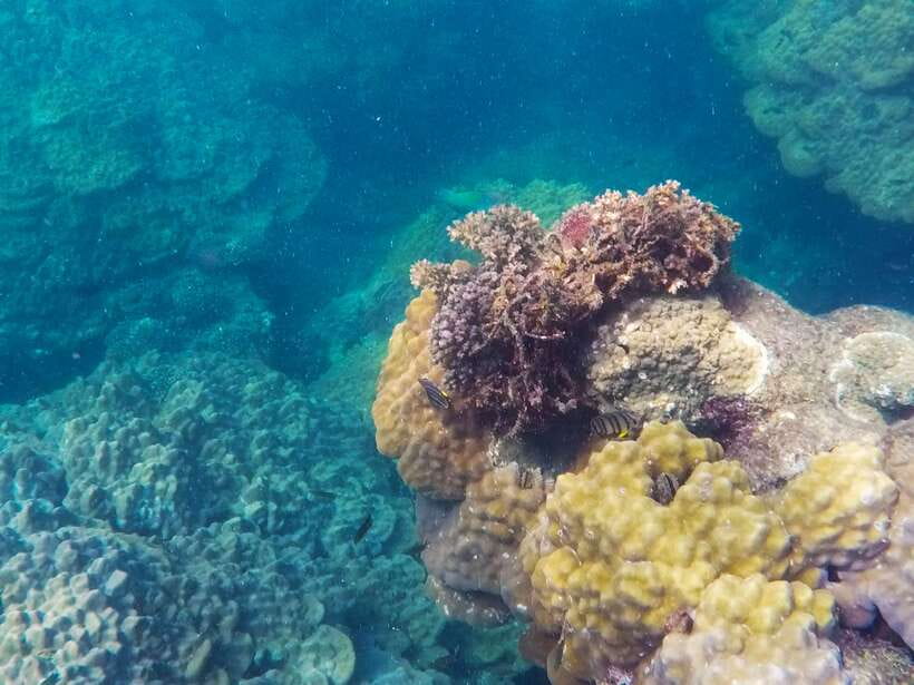 Phu Quoc Speedboat Trip: 3 Islands By Speedboat - Optional Seawalker near Hon Thom