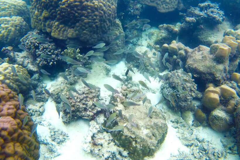PHU QUOC TRIP 2: 2 ISLANDS BY BOAT - What the $25 price really buys you