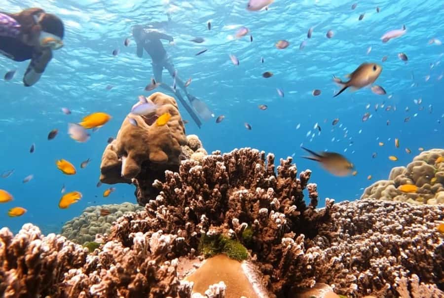 Phuket: 2 Days Itinerary Similan & James Bond Islands Tour - FAQ