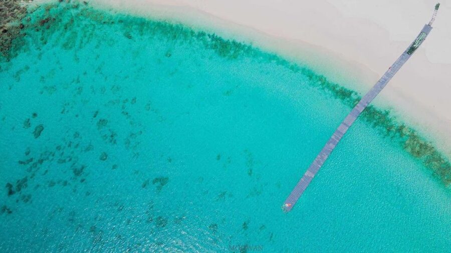 Phuket: Coral & Racha Islands Day Trip By Speedboat - How much snorkeling will you really get?
