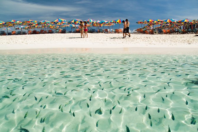 Phuket Khai Islands Half-Day Tour: White Sands & Crystal Waters - Khai Nok: a final swim beside the beach
